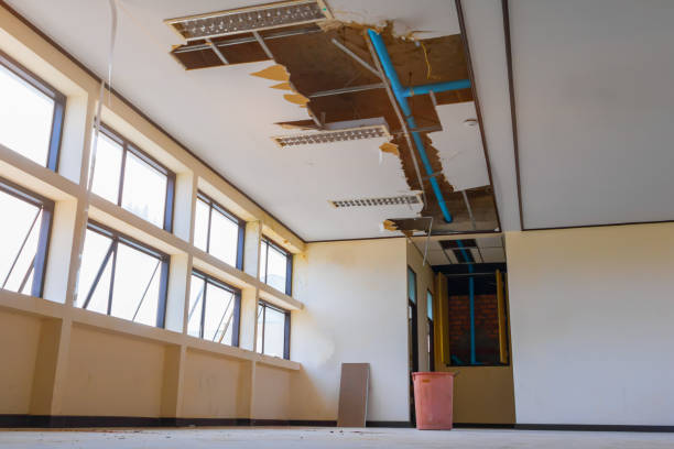 Best Professional water damage repair  in Leola, PA