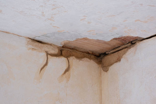 Best Water damage contractors near me  in Leola, PA