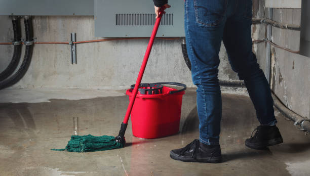 Best Water damage restoration experts  in Leola, PA