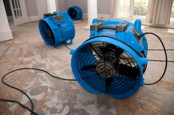 Best Commercial water damage restoration  in Leola, PA