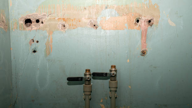 Best Commercial water damage restoration  in Leola, PA