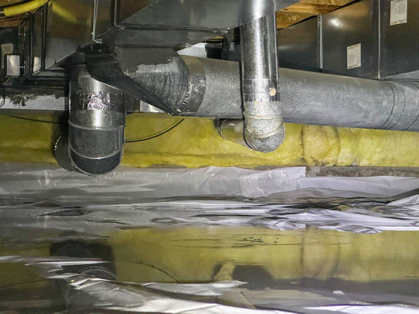 Best Mold removal after water damage  in Leola, PA