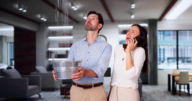 Best Basement water damage restoration  in Leola, PA